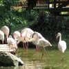 ZOO Brno vs ZOO Hodonín